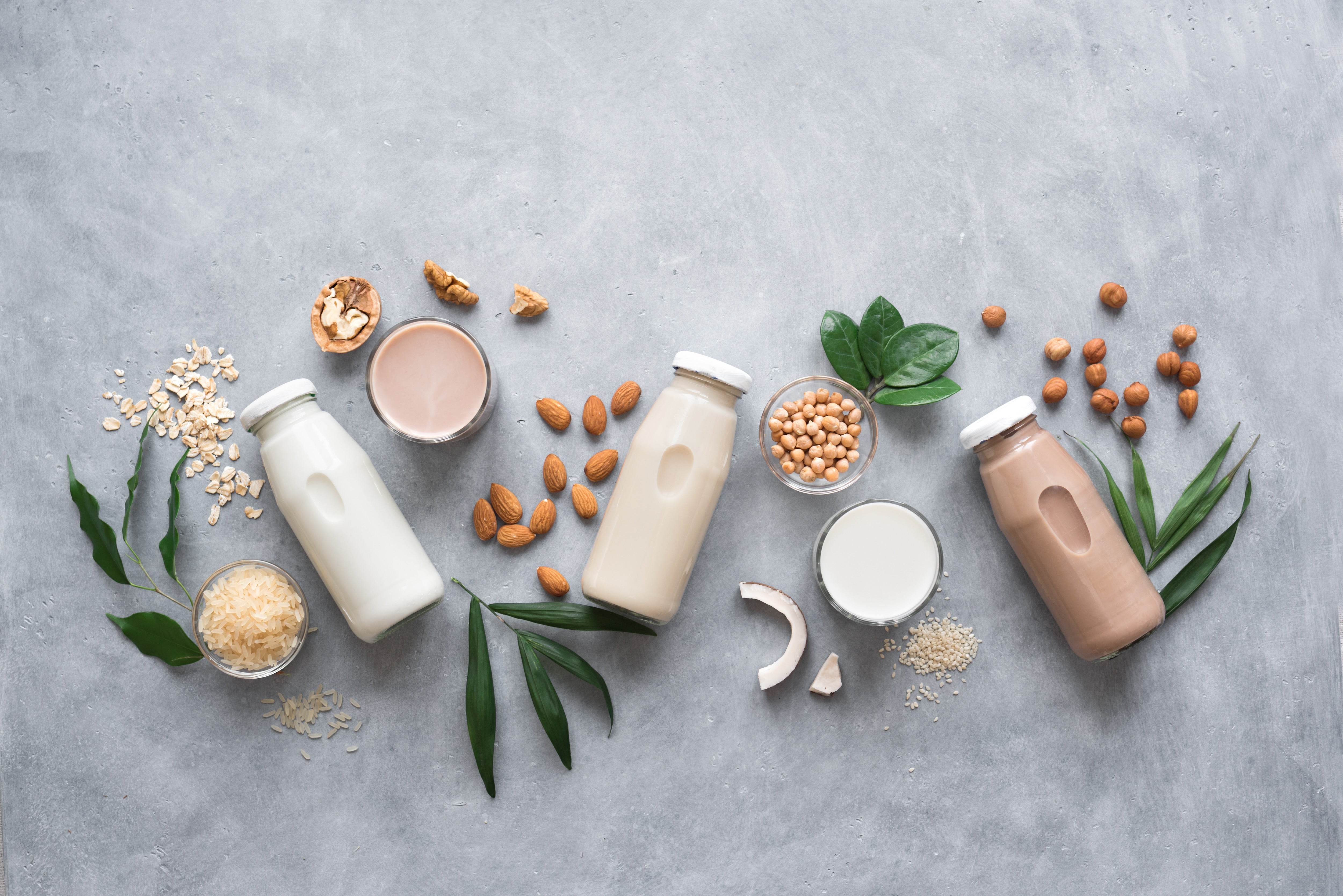 World Plant Milk Day: A Sustainability Perspective