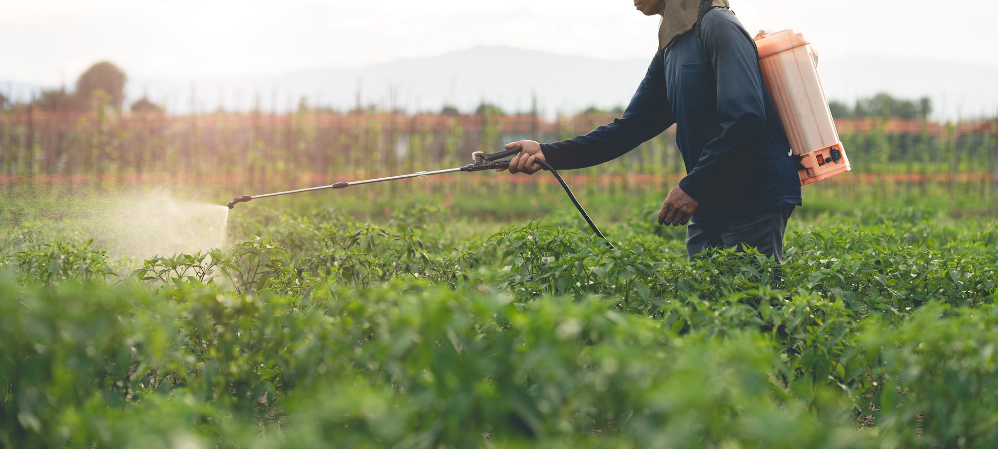 Is Your Plate Harming the Planet? Exploring the Environmental Impact of Our Food System