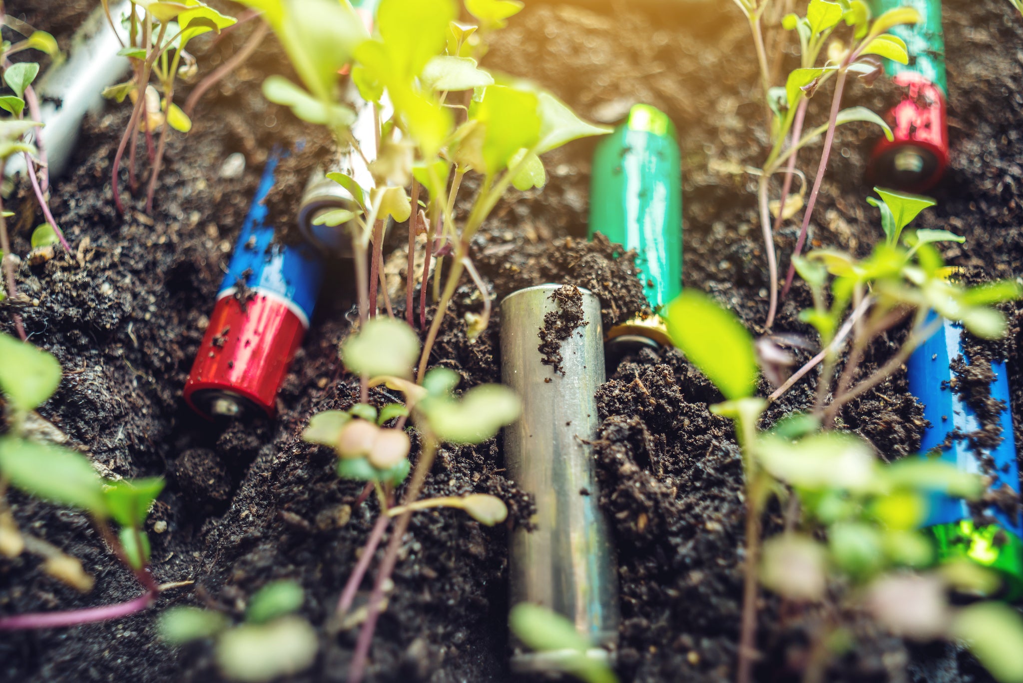 How do I dispose my batteries?