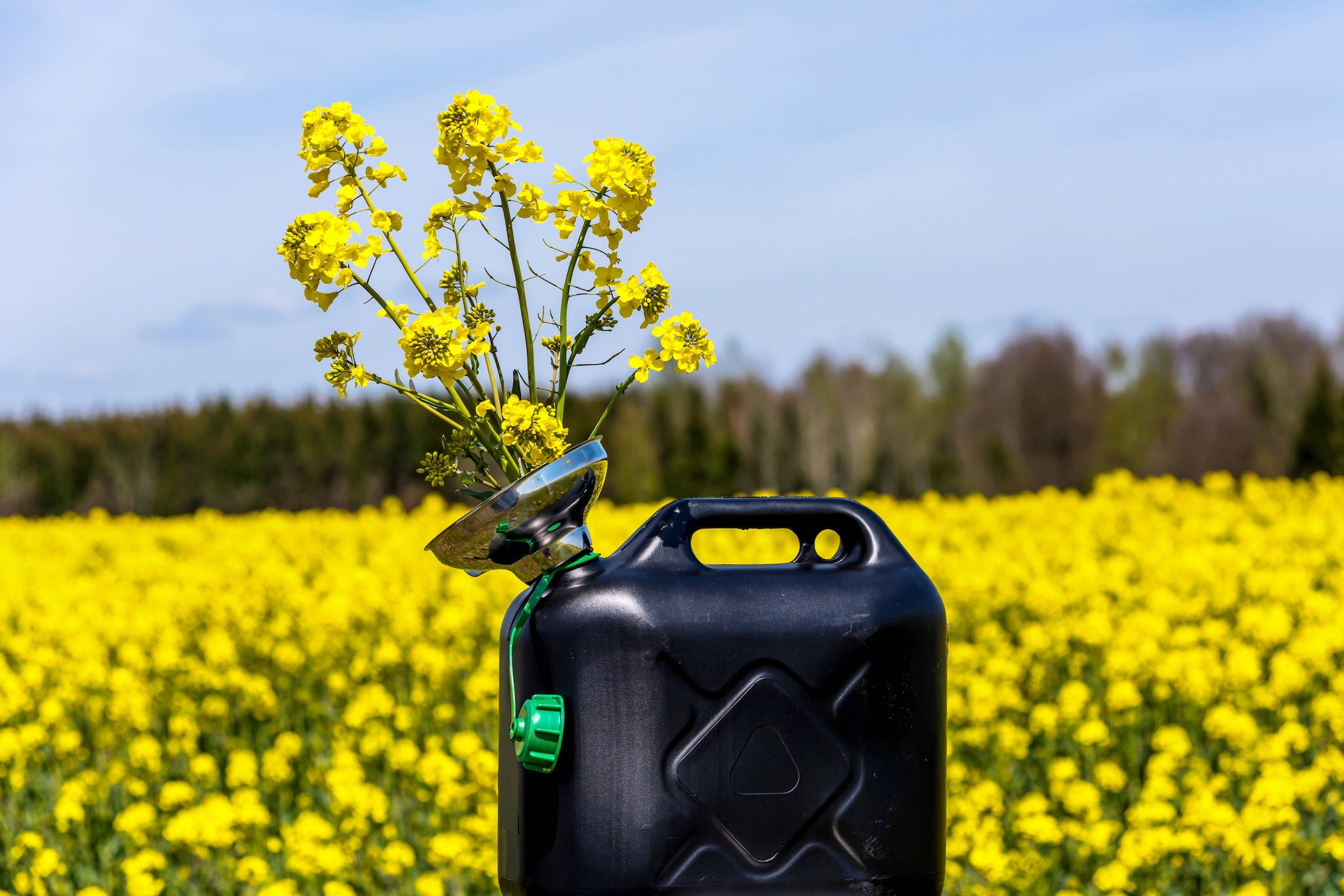 Turning Oil into Biodiesel