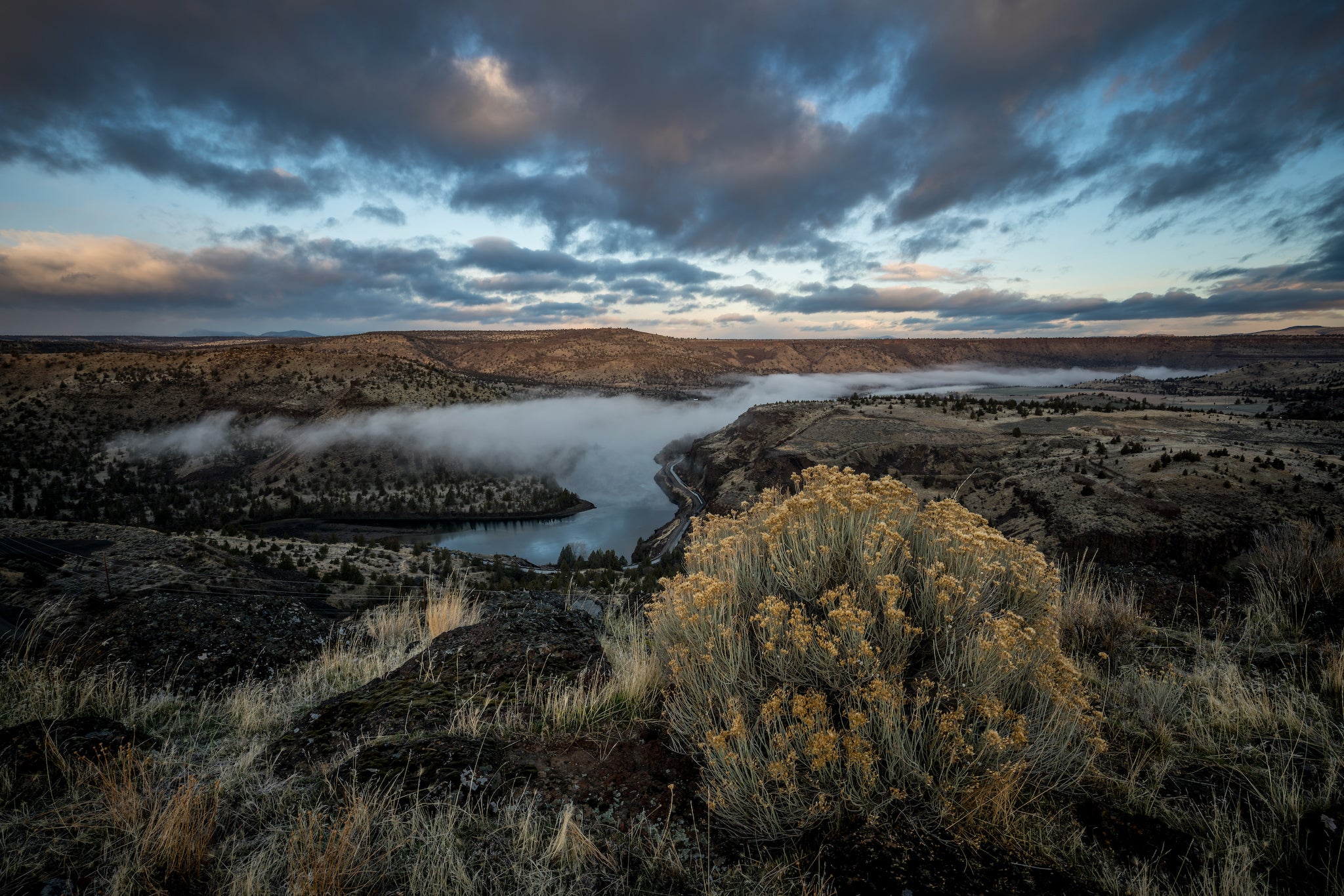 How does native landscaping help the environment?