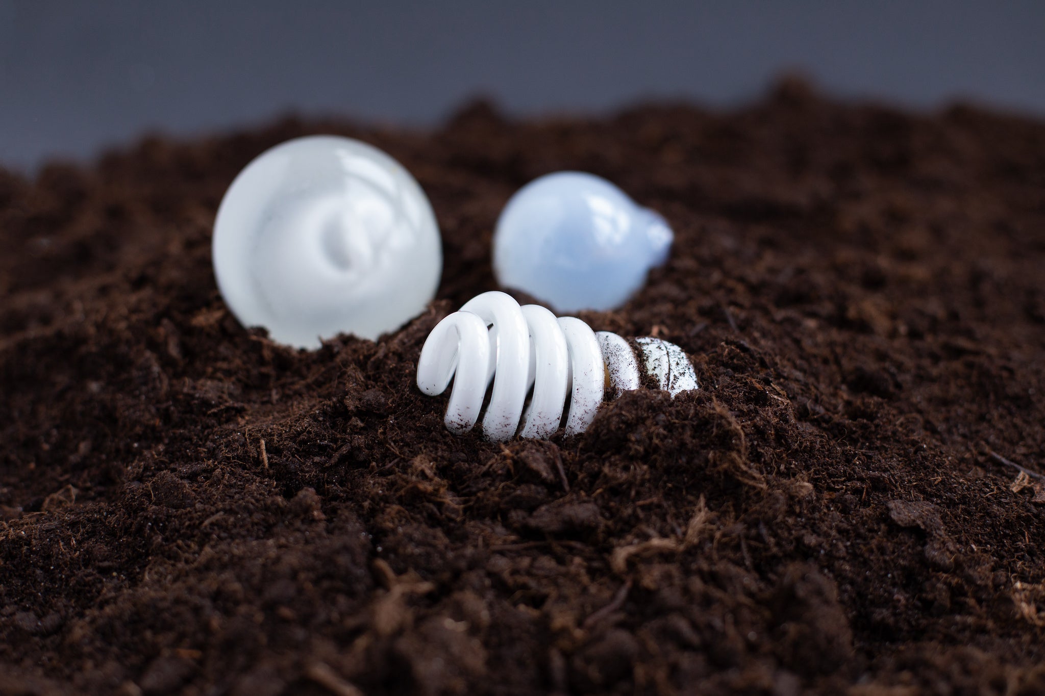 How do I dispose of light bulbs?