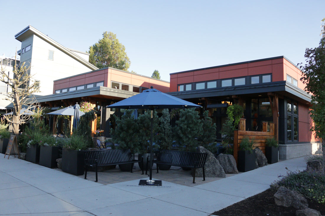 Welcome to Dining Sustainably