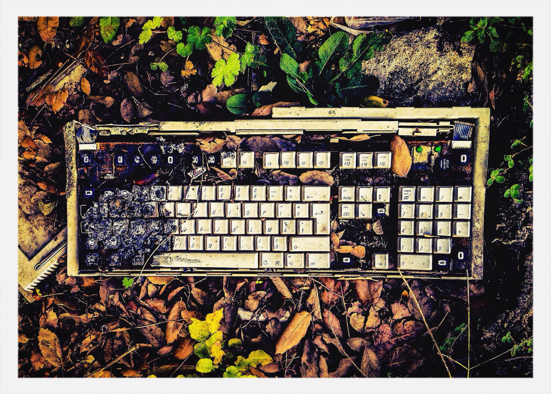 Keyboard abandoned in nature